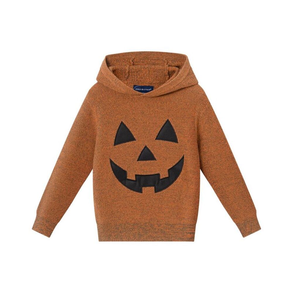 Andy & Evan Boys  Hooded Sweater, Orange